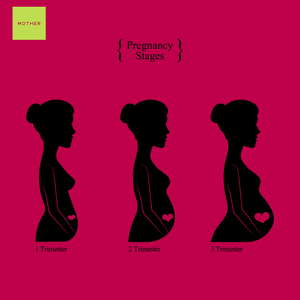 Stages of Pregnancy – Second Trimester - Cherokee Women's Health