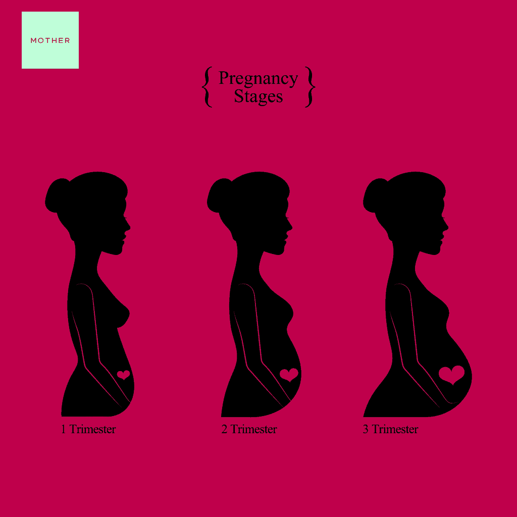 What Is the First Trimester Screening?